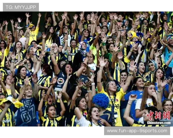 球迷权益保障试点维护普通观众利益